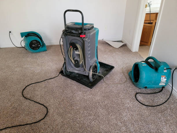Reliable Mohave Valley, AZ Water damage restoration Solutions