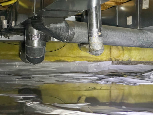 Best Flood damage cleanup  in Mohave Valley, AZ