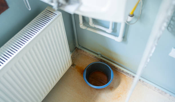Best Commercial water damage restoration  in Mohave Valley, AZ
