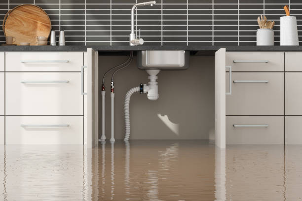 Best Local water damage restoration  in Mohave Valley, AZ