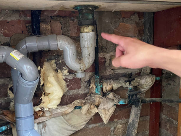 Best Flood restoration services  in Mohave Valley, AZ