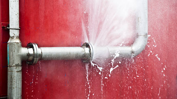 Best Carpet water damage restoration  in Mohave Valley, AZ