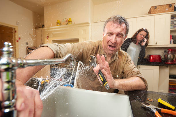 Best Basement water damage restoration  in Mohave Valley, AZ